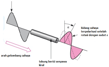 Modul Rumus Soal Karbohidrat Wardaya College