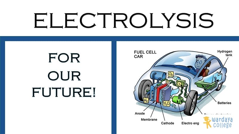 Elektrolisis & Aplikasi Elektrokimia | Wardaya College